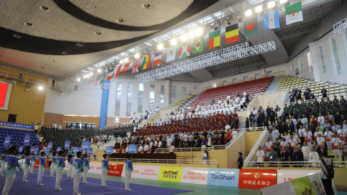 2025年全国“公仆杯”武术太极拳比赛圆满收官！