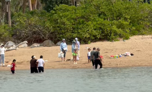 20260225122942584536448