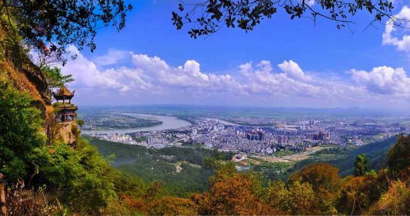 浅析乳泉酒业的发展理念