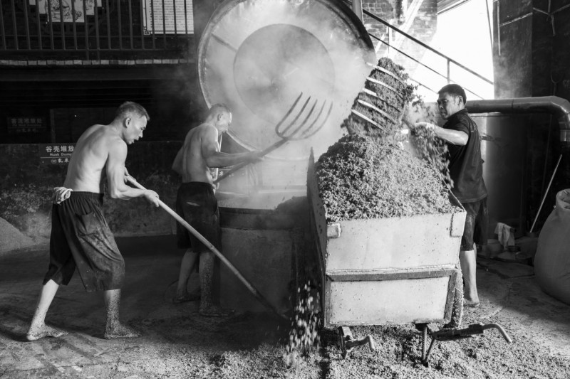 励精于品牌创新：乳泉井酒的知名度美誉度不断提升