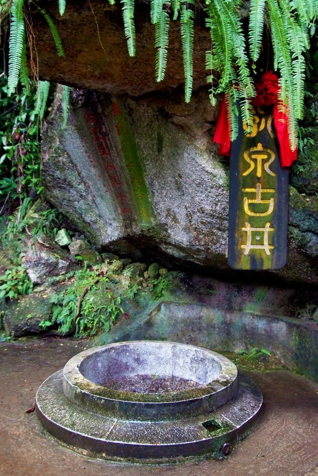 泉沁五韵：品尝乳泉井酒的五重境界